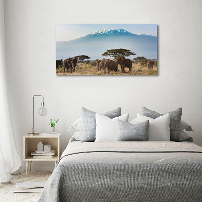 Foto obraz skleněný horizontální Sloni Kilimandžaro