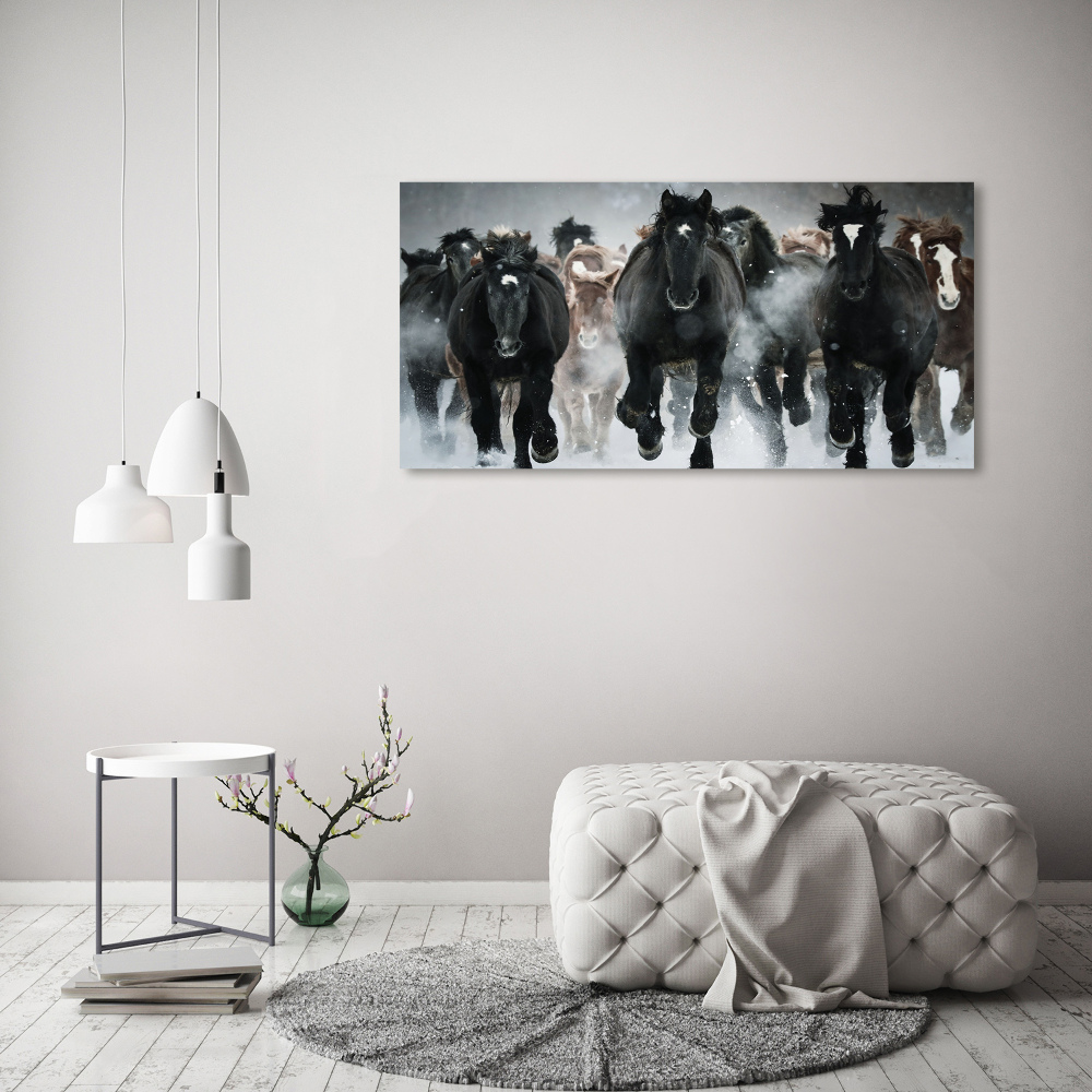 Moderní skleněný obraz z fotografie Koně ve cvalu