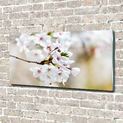 Foto-obraz fotografie na skle Květy višně