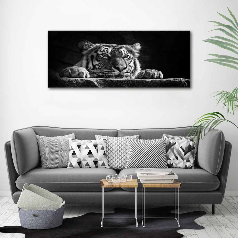 Foto-obraz skleněný horizontální Tygr