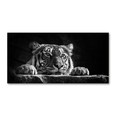 Foto-obraz skleněný horizontální Tygr