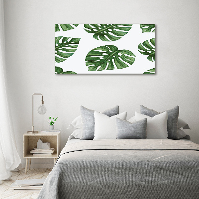 Foto obraz skleněný horizontální Monstera