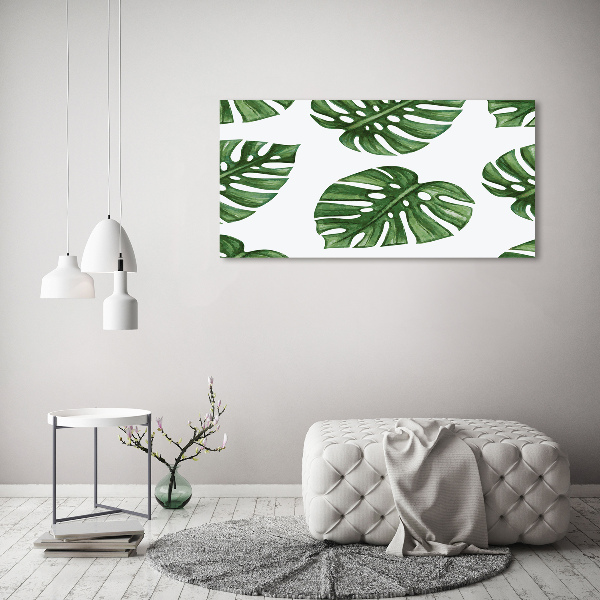 Foto obraz skleněný horizontální Monstera