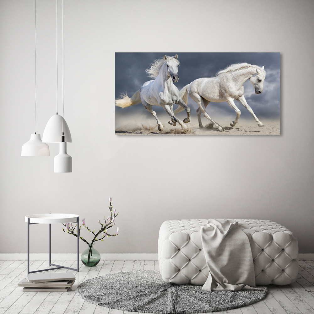 Fotoobraz skleněný na stěnu do obýváku Bílí koně pláž