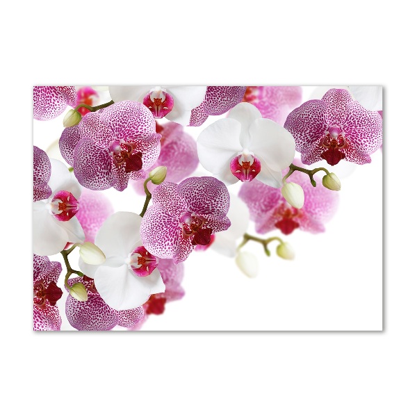 Foto obraz sklo tvrzené Orchidej