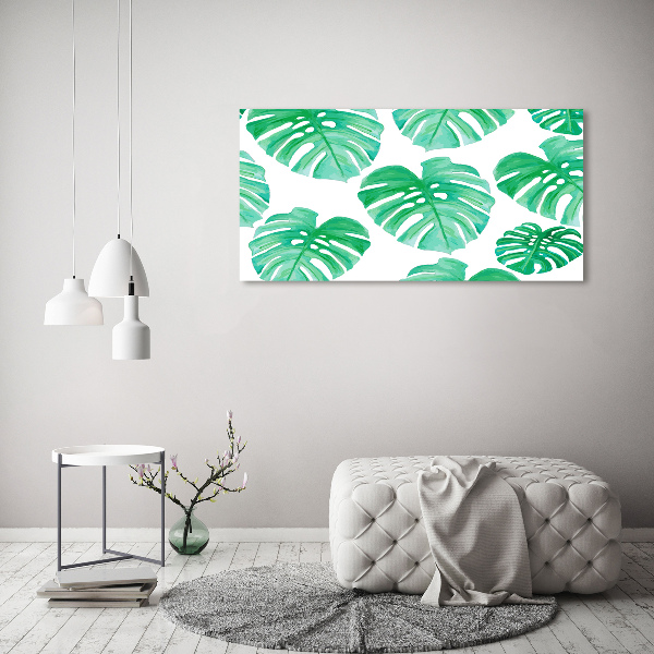 Foto obraz skleněný horizontální Monstera