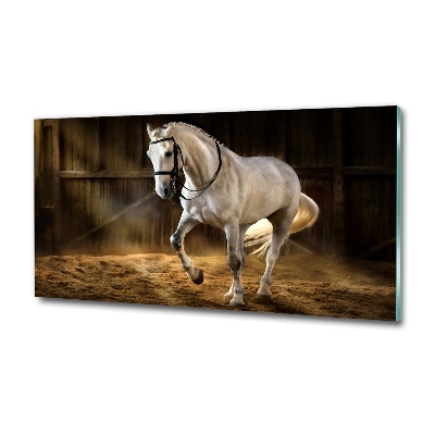 Moderní foto obraz na stěnu Bílý kůň ve stáji