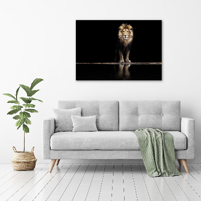 Foto obraz sklo tvrzené Portrét lva
