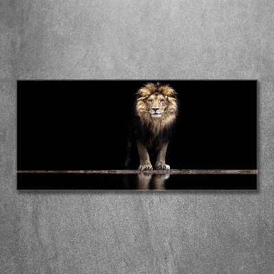 Foto obraz sklo tvrzené Portrét lva