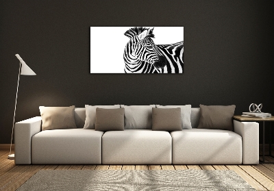 Foto obraz sklo tvrzené Zebra ve sněhu