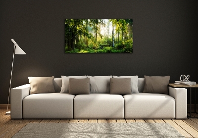 Foto obraz fotografie na skle Ranní slunce les