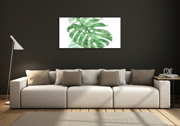 Foto obraz sklo tvrzené Monstera