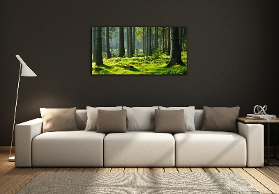 Fotoobraz na skle Smrkový les