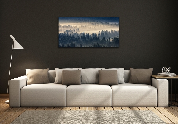 Foto obraz fotografie na skle Mlha nad lesem
