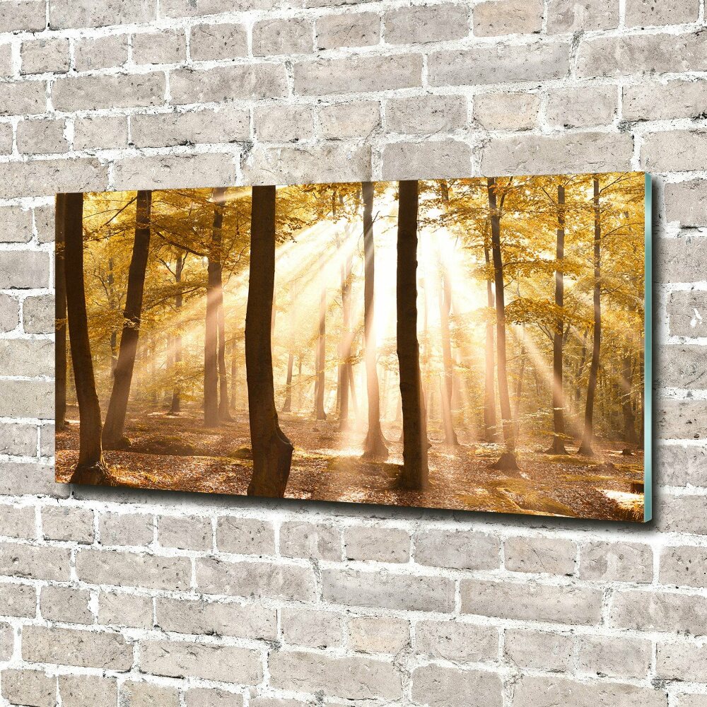 Fotoobraz na skle Podzimní les