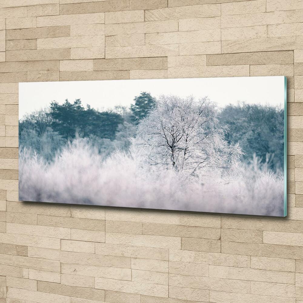 Foto obraz sklo tvrzené Stromy zimou