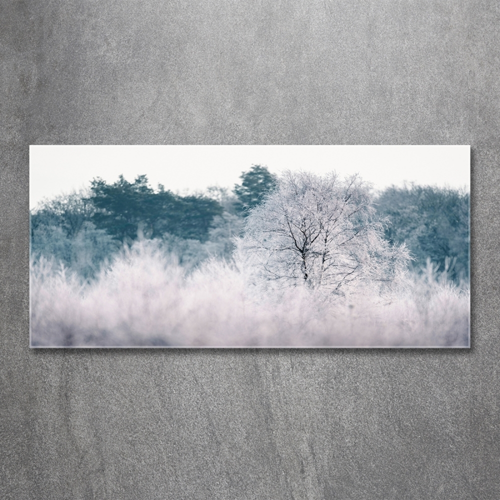 Foto obraz sklo tvrzené Stromy zimou