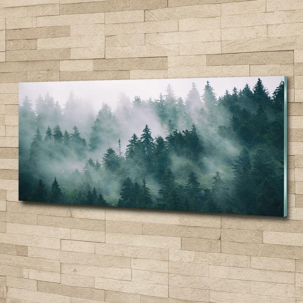 Fotoobraz na skle Mlha nad lesem