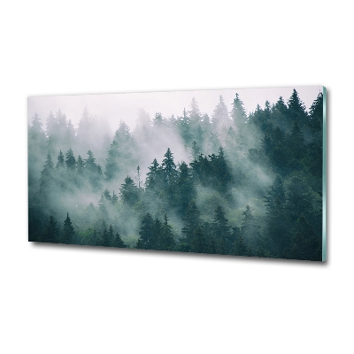 Fotoobraz na skle Mlha nad lesem