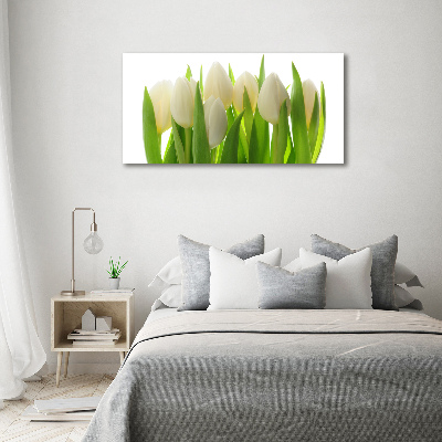 Foto obraz fotografie na skle Tulipány