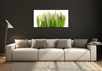 Foto obraz fotografie na skle Tulipány