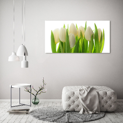 Foto obraz fotografie na skle Tulipány