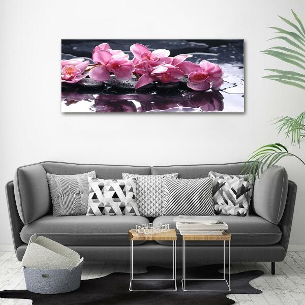 Foto obraz sklo tvrzené Růžová orchidej