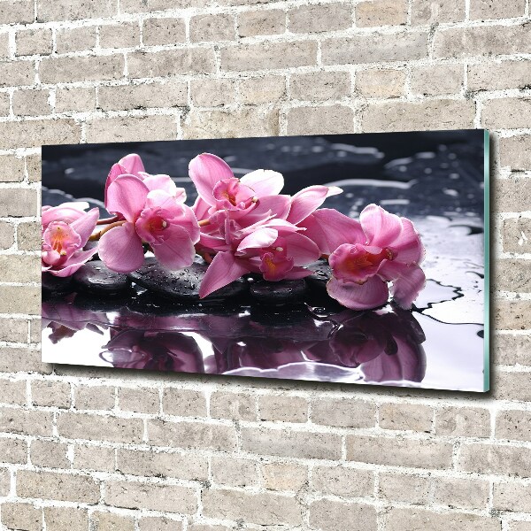 Foto obraz sklo tvrzené Růžová orchidej