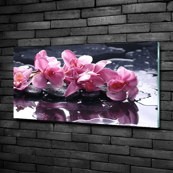 Foto obraz sklo tvrzené Růžová orchidej