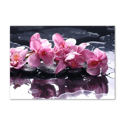 Foto obraz sklo tvrzené Růžová orchidej