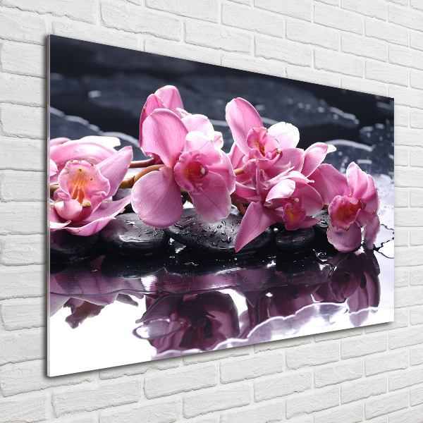 Foto obraz sklo tvrzené Růžová orchidej