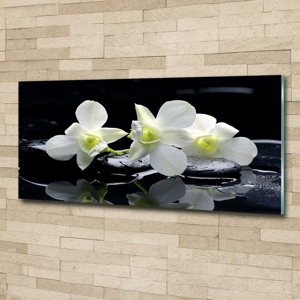 Foto obraz fotografie na skle Orchidej