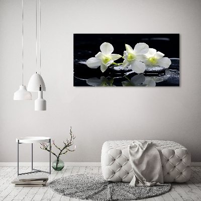 Foto obraz fotografie na skle Orchidej