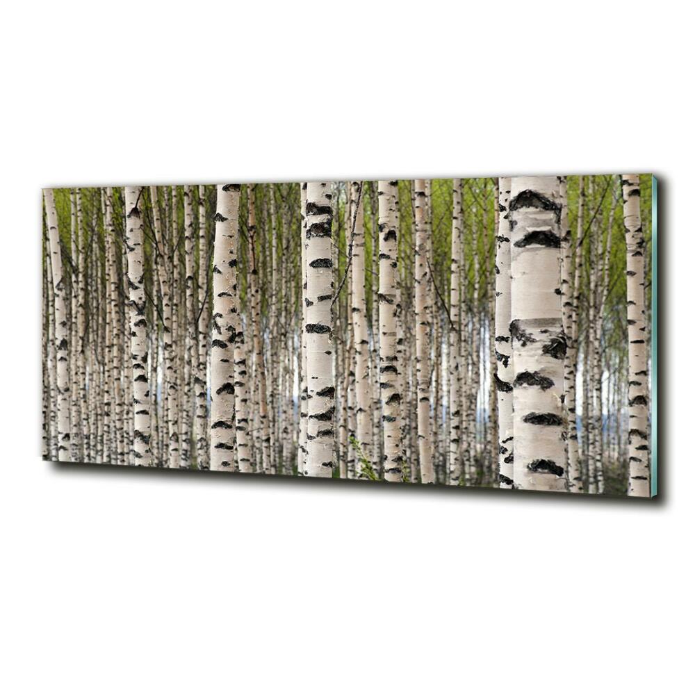 Moderní skleněný obraz z fotografie Břízový les