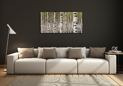 Moderní skleněný obraz z fotografie Břízový les
