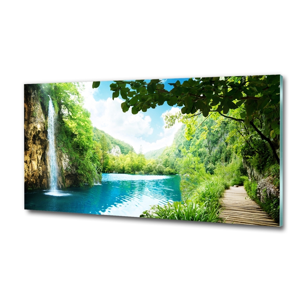 Foto obraz skleněný horizontální Vodopád v lese