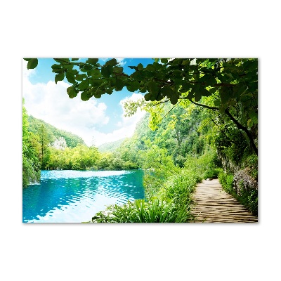 Foto obraz skleněný horizontální Vodopád v lese
