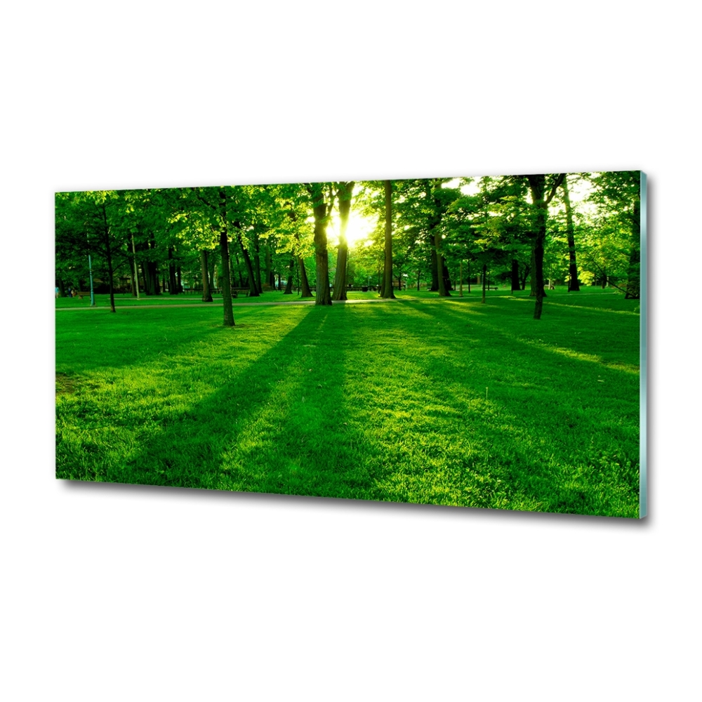 Foto obraz skleněný horizontální Tráva v parku