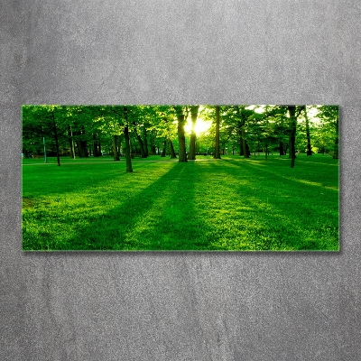 Foto obraz skleněný horizontální Tráva v parku