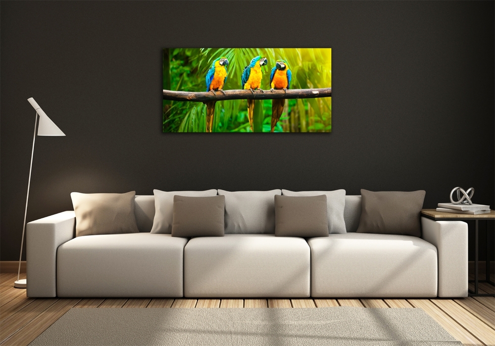 Moderní skleněný obraz z fotografie Papoušci na větvi