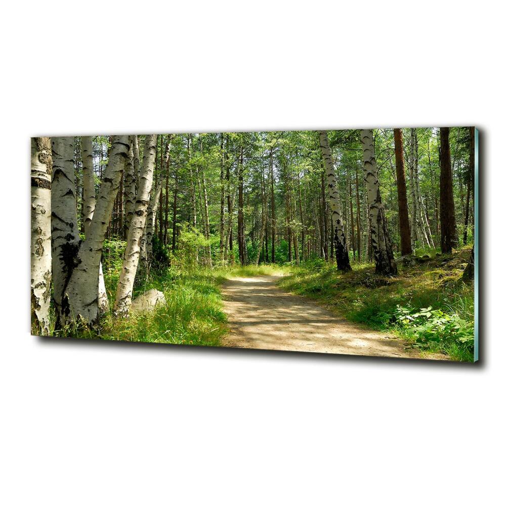 Foto obraz skleněný horizontální Stezka v lese
