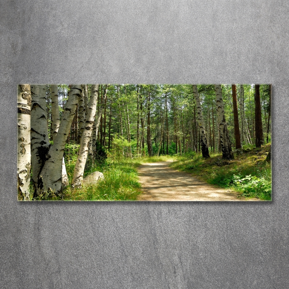 Foto obraz skleněný horizontální Stezka v lese