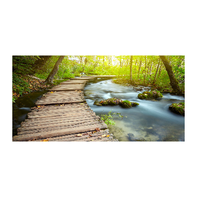 Foto obraz fotografie na skle Stezka nad řekou