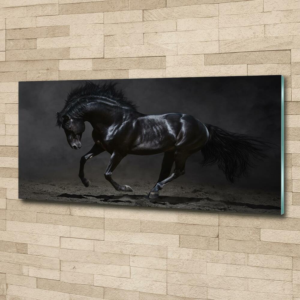 Foto obraz sklo tvrzené Černý kůň