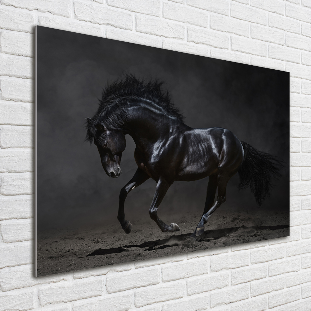 Foto obraz sklo tvrzené Černý kůň