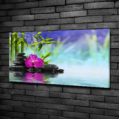 Moderní foto obraz na stěnu Orchidej bambus