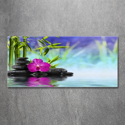 Moderní foto obraz na stěnu Orchidej bambus