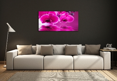 Fotoobraz na skle Orchidej