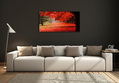 Foto obraz sklo tvrzené Stromy podzim