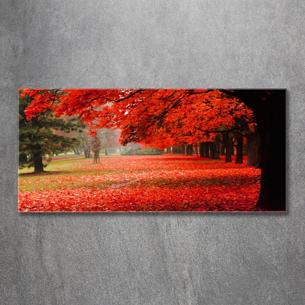 Foto obraz sklo tvrzené Stromy podzim